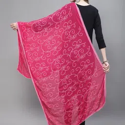 LOOM LEGACY Floral Embroidered Chiffon Dupatta image 3