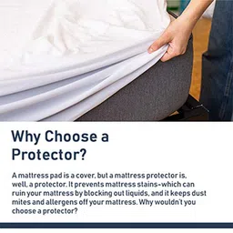 coirfit Jena (78x72) Cotton Waterproof King Size Protector In Beige Colour image 5