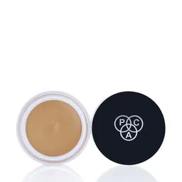 PAC Long-Wearing Studio HD Concealer 12 g - 3 AM Latte image 1