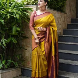Areca Designer Ethnic Motifs Woven Design Zari Banarasi Saree-image-13