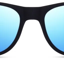 shade house Polarized Wayfarer Sunglasses (52)-picture-35