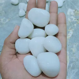 hh enterprises 2 kg Natural White Polished Pebble Stone For Terrarium, Succulents, Garden Pots Polished, Carved, Regular Asymmetrical, Oval, Round Marble, Quartz, Rock Pebbles image 2