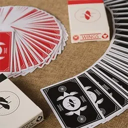fidelity Parksons Plastic Coated Paper Playing Card(Wings) for Fun/Game/Party Set of 2-picture-17
