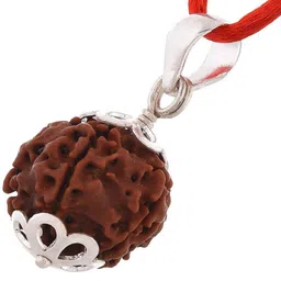uniworldwide 7 Mukhi X Ray Certified Rudraksha Bead - Nepal Origin Wood Pendant image 2