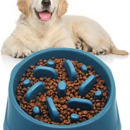 1 pcs Slow Down Eating, Bloat Stop Maze Dog Dishes for All Breeds Polypropylene Pet Bowl-image-6