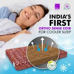 sleepspa BACK SUPPORT Orthosense Cocopedic Tech 6 Inch HR Foam & Coir Queen Size Mattress image 5