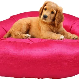 slatters be royal store PremiumQuality Velvet Luxury Washable DOG Sofa For All Season Sleeping CatPuppy M Pet Bed-picture-13