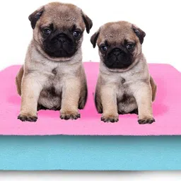 amorite Reusable Washable Pee Pads-Puppies Washable Dog/Cat Diapers Pack of 2 Pink + Sea Blue Dog, Cat, Guinea Pig, Hamster, Miniature Pig, Rabbit, Tortoise Pet Mat-picture-33