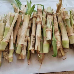 grow green organics Smart Napier - 20 Sticks + Super Napier - 20 Sticks | Total 40 Sticks Seed image 3