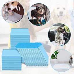 pet fun Puppy Training Pee Pads & Pets Dog Training Pads/ Potty Pads, Dog, Cat Pet Mat image 5