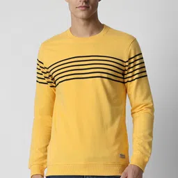 peter england Men Full Sleeve Striped Sweatshirt-picture-38