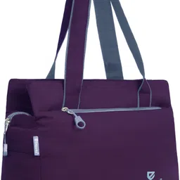 emparky Women Grey, Purple Messenger Bag-picture-26