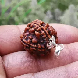 beautum NATURAL 4 MUKHI ORIGINAL RUDRAKSHA NEPALI ORIGINAL FOR MEN AND WOMEN Wood Pendant image 2