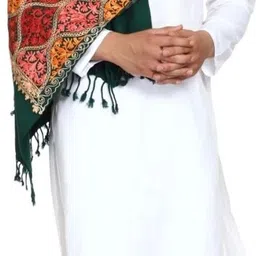 SNandCo Pashmina, Wool Embroidered Men Shawl image 3