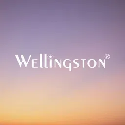 wellingston British Airways Die Cast Aircraft British Airways Highly Detailed Display Décor image 4