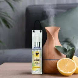 iris Citric Tango Car Freshener Spray-picture-10