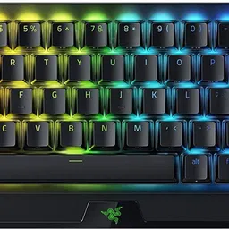Razer BlackWidow V3 Mini HyperSpeed - Phantom Pudding Edition - 65% Wireless Mechanical (Green Switch) RZ03-03892000-R3M1 Wireless Standard Gaming Keyboard-picture-13