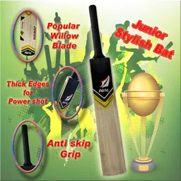 airic Kashmiri Popular Willow With Ball, Wickets And Bag (Size 3 For 8 to 9 Years) Cricket Kit image 2