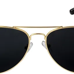 aquila Polarized Aviator Sunglasses (50) image 2