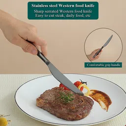 oicia Stainless Steel Steak Knife Set image 4