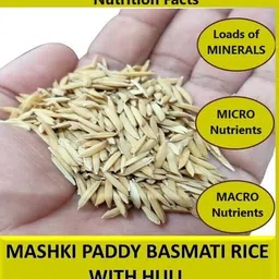 mashki Nutrient-Rich All Life Stages Bird Food with Nellu Large Size Vadlu Seeds Nuts 0.5 kg Dry Adult Bird Food image 5