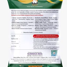 numinous Alfalfa, Methi, Medicago Sativa, Rajka, Lucerne, 3 Sali Fodder Grass (3 Year) Seed image 2