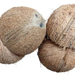 leyl Kerala Natural Coconut Shell Wooden Vase-picture-39