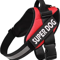 house of common Dog Safety Harness-picture-35