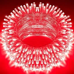 40 LEDs 12 m Red Steady Bulb Rice Lights-image-20