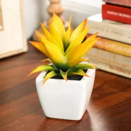 casacraft from pepperfry Yellow Polyester Artificial Succulent Bonsai with Ceramic Pot-picture-38