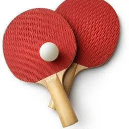 goldiluxe table tennis for kids and adult game for kids and adults indoor game for kids Multicolor Table Tennis Racquet-picture-14