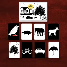 ekdali High Contrast Infant Learning Cards: Bold Black and White-picture-10