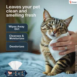 pawkare Pet Wipes for Dogs, Cats | Aloe,Vitamin E | Thick, Moist, pH Balanced, 160 Wipes Pet Ear Eye Wipes image 3