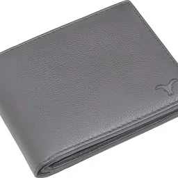 skinbull Men Casual, Formal Grey Genuine Leather RFID Wallet-picture-26
