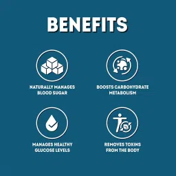 AADAR Jeevani Ayurvedic Capsules | Diabetes Care Control Blood Sugar Level, Detoxification, Removal of Toxins from the Body | Aloe Vera, Neem and Harde (Haritaki) | 60 Capsules(Pack of 4) image 3