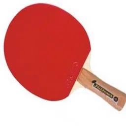 gki Fasto In Foam Cover Multicolor Table Tennis Racquet image 2