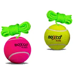 BOXCO Hanging Cricket Ball Set, 1 Velocity Pnk Medium Weight and 1 Elite Light Weight, Practice Combo image 1