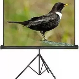 GOODWIN Portable Projector Screen, 6 feet X 4 feet | 84-Inch Diagonal in 4:3 Projector Screen (Width 182 cm x 121 cm Height) image 4