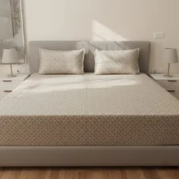 truth Cotton King Flat 400 TC Geometric Bedsheet-picture-21