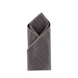 Alvaro Castagnino Men Printed Microfiber Pocket Square image 2