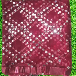 houseofcommon Net Embellished Maroon Women Dupatta image 2