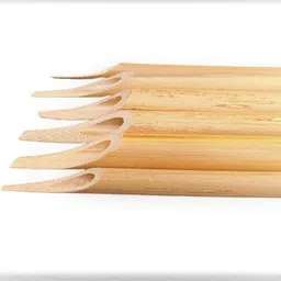 bamboo new Nib image 3