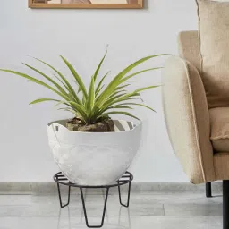 stand master Black Metal Planter Stand image 1