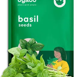 ugaoo Italian Basil Seed-picture-21