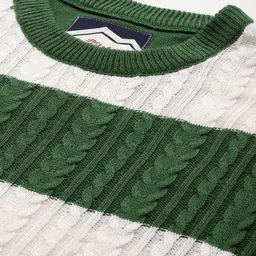 roadster Men Striped Round Neck Green Sweater image 3