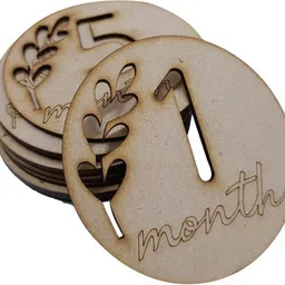 Haoser Wooden Monthly Milestone Discs for Baby Photos/Baby Milestone Wooden Cut-outs-image-10