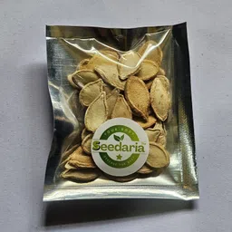 nurseryfriends F1 Dark Hybrid Rainy Season Pumpkin SeedS Kumro Kaddu Seeds for Farming Seed Seed image 3