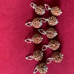 rudraksham 6 Mukhi Nepali Rudraksha Pendant With Certificate Of Authenticity (Set of 10) Silver Brass Locket Set-picture-21