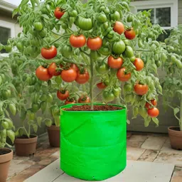 visik Grow Bags HDPE 9x9 Inch (10 Pack) | Terrace Gardening Plant Bags for Home Use Grow Bag image 5