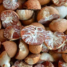 cloud farm Betel Nut/Supari Plant-picture-23